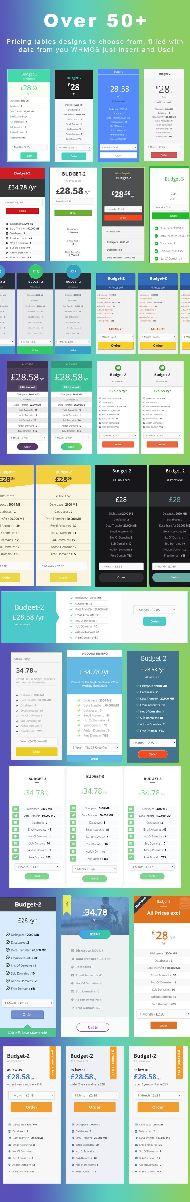 Over 50 pricing tables designs to choose from, filled with data from your WHMCS. Just Insert and Use.